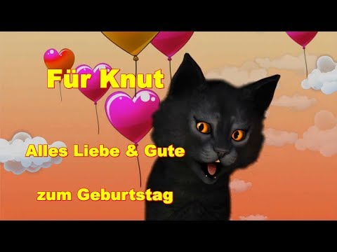 Knut ❤️ Zum Geburtstag Alles Liebe & Gute ❤️ Happy Birthday to You ❤️ FaceRig Katze deutsch german