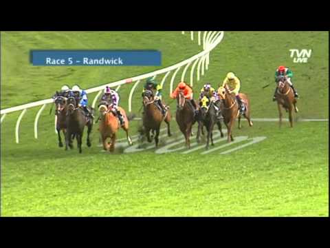 2014 ATC Chelmsford Stakes