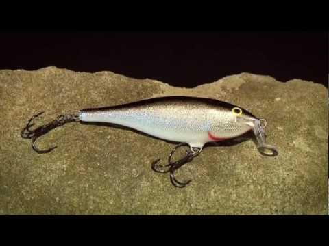 Rapala Shallow Shad Rap 7cm 7g ROHL