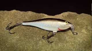 Wobler Rapala Shallow Shad Rap 07_FPN