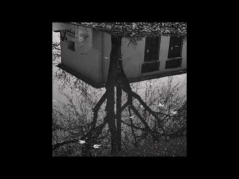 02. Forested - haunted forest