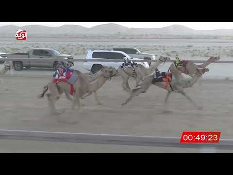  ش 4 (شاهين) لـ عبدالله محمد بن سالم الوهيبي 2:16 , شارة الصندوق 2026/06/27 فطامين الخزنة   