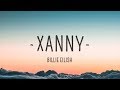Billie Eilish Xanny Lyrics