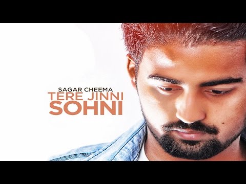 Tere Jinni Sohni