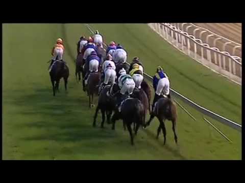 2016.05.28 Woolavington 2000 (RSA) - Bela-Bela