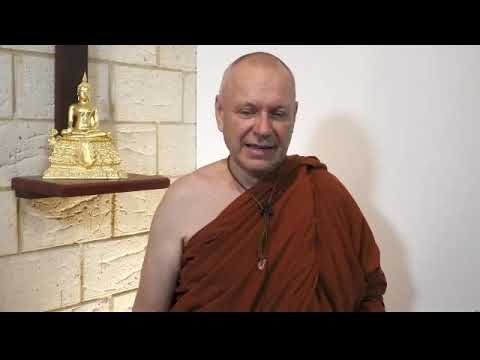 Ajahn Brahmali: Day 5 Afternoon Session Sutta Study and Q&A 20.05.21