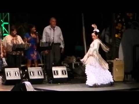William Cepeda playing "Bomba Flamenca" live in Puerto Rico Heineken Jazz Fest 2013