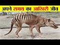 विलुप्त होने के कगार पर असाधारण जानवर 