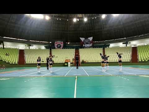 COED N2 NT - GALO TERROR