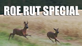 Fieldsports Britain – Roebuck stalking / hunting special (episode 140)