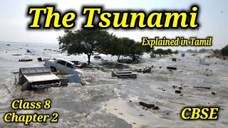 The Tsunami | Class 8 | Honeydew | Chapter 2 | CBSE | isunami | explained in Tamil