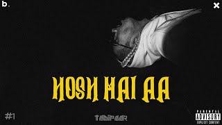 MC Stan Hosh Mai Aa song lyrics