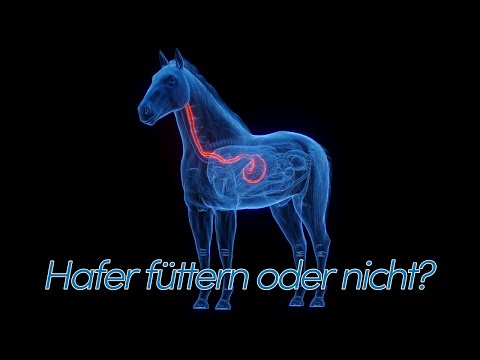 Feed horse oats or better not? What is the best horse feed?