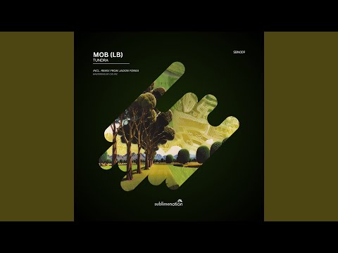 Tundra (Jadon Fonka Remix)