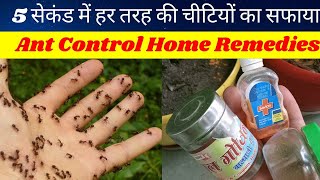 5 सेकंड में हर तरह की चीटियों का सफाया 🦗 Home remedies to get rid of ants 🐜 Pest control for ants