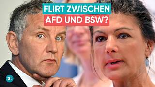 What is behind Höcke’s AfD offer to BSW founder Wagenknecht? Election tactic?