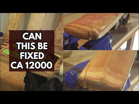 Can this be fixed , Cricket bat repair Trailer