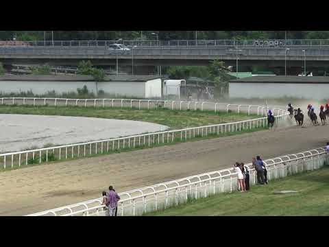 12.6.2022 Trka I - ORLEANKA - Hipodrom Beograd