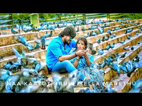 naa kaayuthiruve song for whatsapp status | kariya 2 |