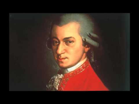 Nenad Kukic - Mozart, Symphony 25, 1st Movement  (2013)
