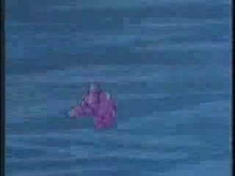 Ronin Warriors Episode 17 (Part 3 of 3)