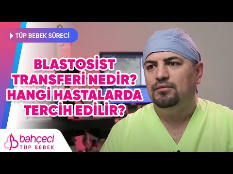Blastosist transferi nedir? Hangi hastalarda tercih edilir?