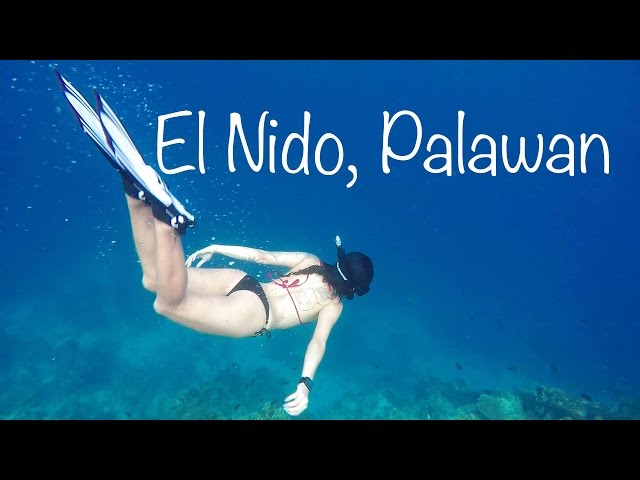 SNORKELING AND DIVING - El Nido, Palawan, Philippines
