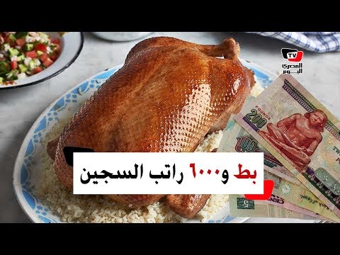 سجناء مصر «بط وحمام و٦٠٠٠ جنيه مرتب».. ماذا عن باقي الدول؟