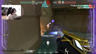 florescent Iso Lotus RADIANT CARRY