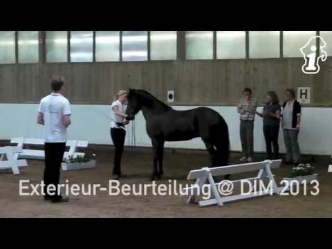 DIM 2013 - FIZO Exterieur 8.7. - www.isibless.de