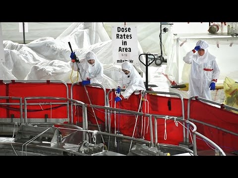 See inside the Nine Mile 2 nuclear reactor