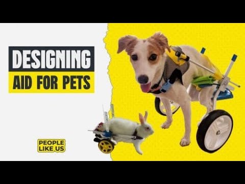 How I designed a Dog Wheelchair, Documentary about Bhumit Vyas on Pluc TV @dogwheelchairsindia