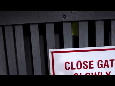 Vintage Westinghouse Traction Freight Elevator at Warehouse