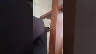 Download lagu Marilah bersandar, oleh koor persekutuan Perempuan GKPA Batangtoru mp3