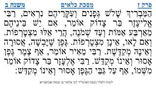 מסכת כלאים פרק ז משנה ב