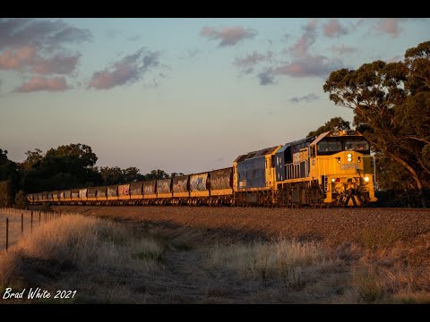 Trackside: XR555 and BL34 at Arnold & Llanelly on 9156 Boort to North Geelong grain- 26/1/21