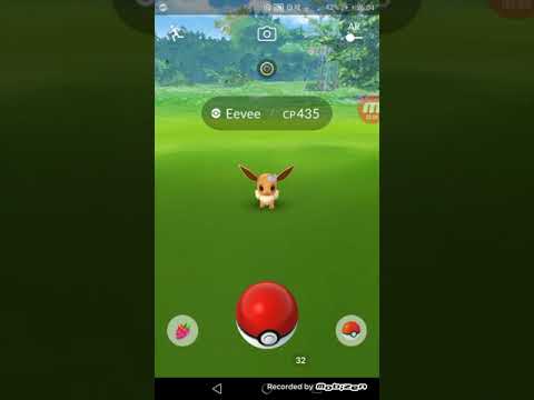 Ewolucja shiny eevee!! Plus 7 stempel!!