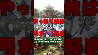 そん弓と言う企画について【MHP3】
