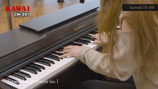 Video thumbnail for KAWAI CN-201 piano play by 피아노tv