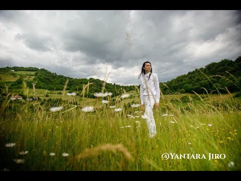 Yantara Jiro 2020年訊息 - 快速增長的潛能