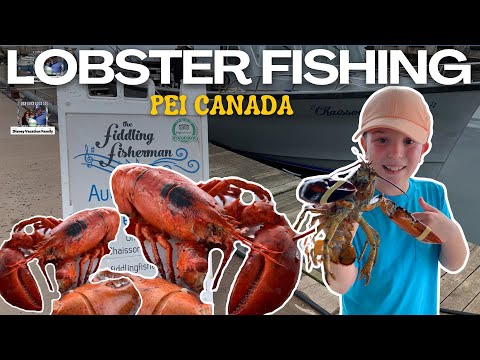 Catch, Cook, and Feast: Lobster Adventures with the Fiddling Fisherman 🦞