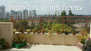 גינה במרפסת - לפני ואחרי