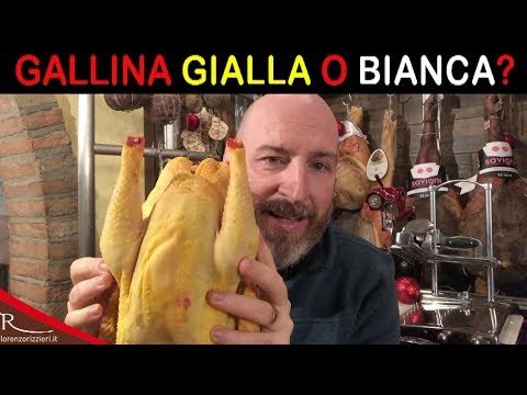 GAllina pelle gialla o pelle bianca? lorenzorizzieri.it