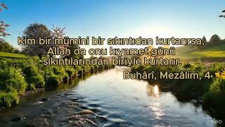 Bir Mümini Rahatlatan Kurtulur | Anlamlı Hadis