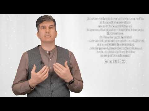 Promisiunea Zilei - Merită!