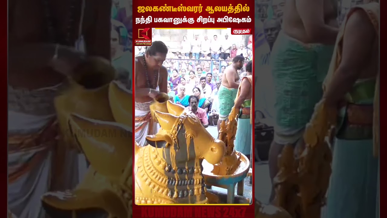 ஜலகண்டீஸ்வரர் ஆலயத்தில் நந்தி பகவானுக்கு சிறப்பு அபிஷேகம் | Vellore | Abishekam | Kumudam News