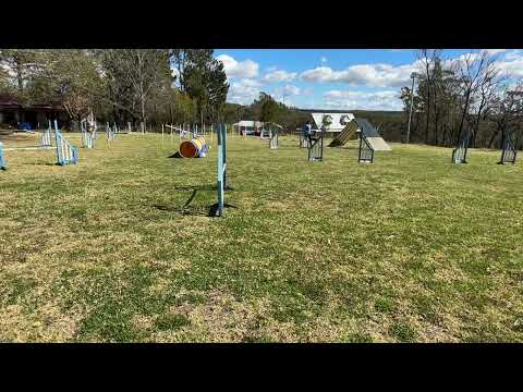 Busy 31st August 2023