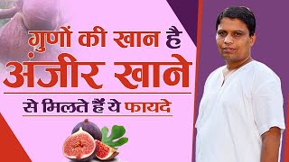 गुणों की खान है अंजीर (Common fig) इसे खाने से मिलते हैं ये फायदे || Acharya Balkrishna