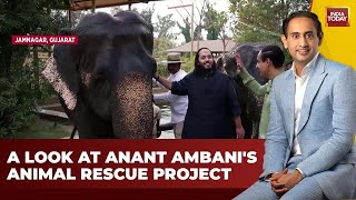 LIVE: Anant Ambani