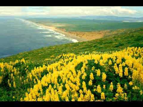 Grupul din Valencia - Mama datoria ta, acordeon